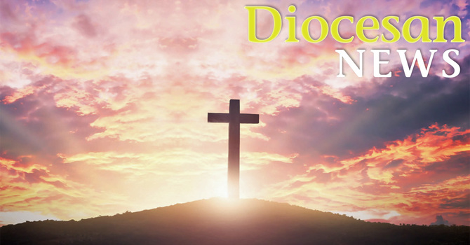Diocesan News Online
