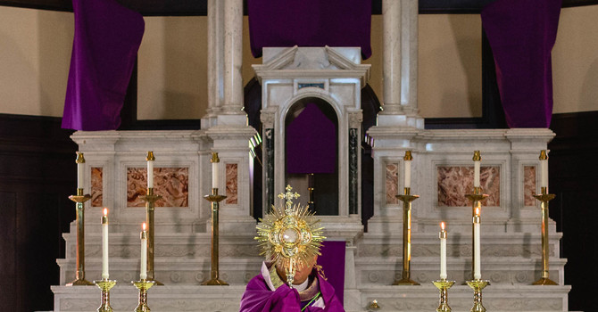 Holy Week Masses - Live Streaming Masses   image