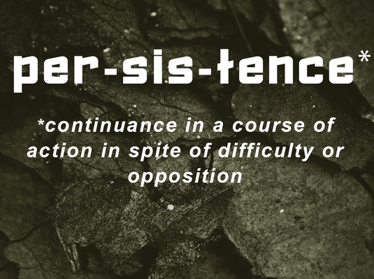 Persistence