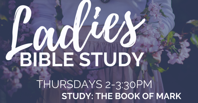Woman's Bible Study - Suspended