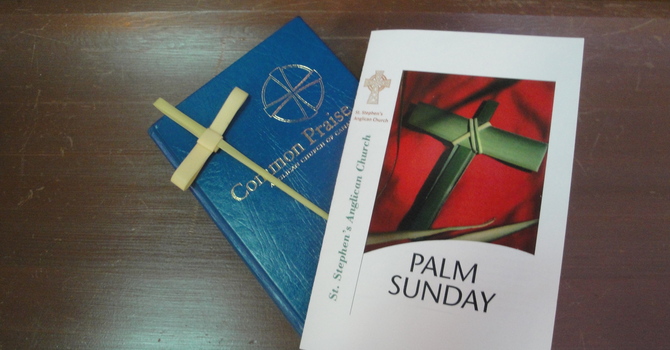 2017 Palm Sunday 