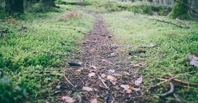 Oasis (Retirement age adults)