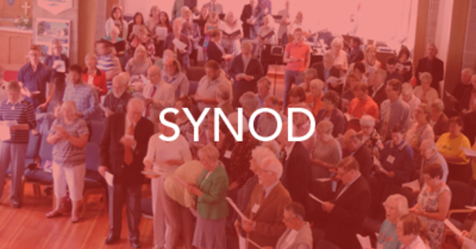 Synod