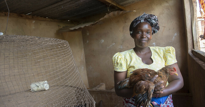 Advent Giving Project image