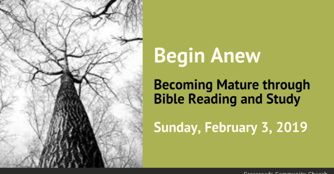 Becoming Mature Through Bible Reading and Study