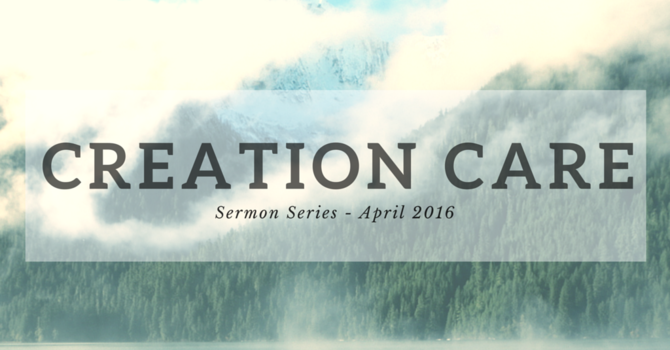 It’s Fallen But It Will Get Up