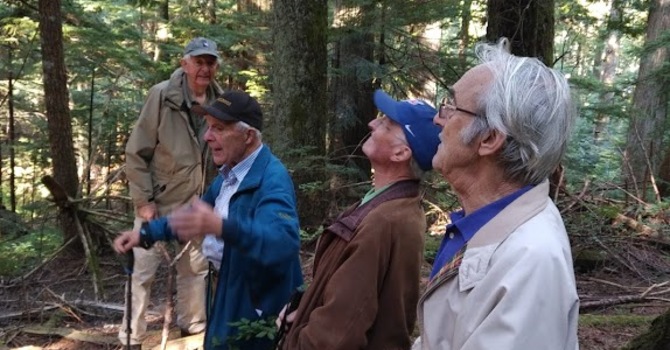 WV Old Growth Conservancy Park Forest