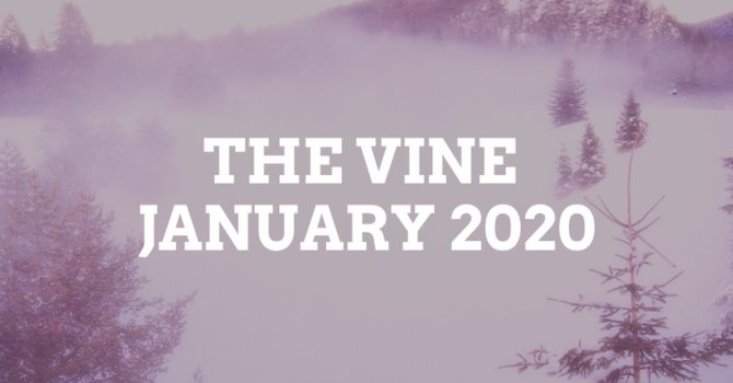 January Vine image