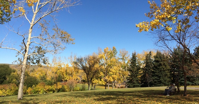 SEPTEMBER NEWSLETTER image