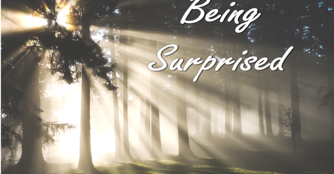 Sunday Bulletin - July 23, 2017 image