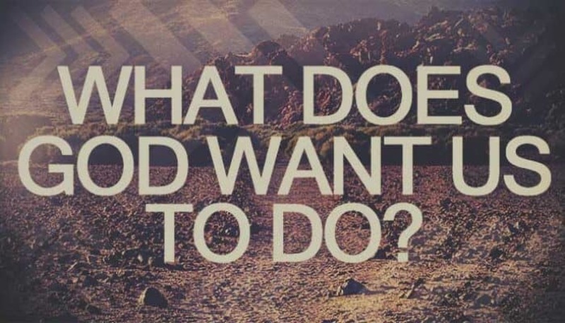 In This Chaos, What Is Our Calling?