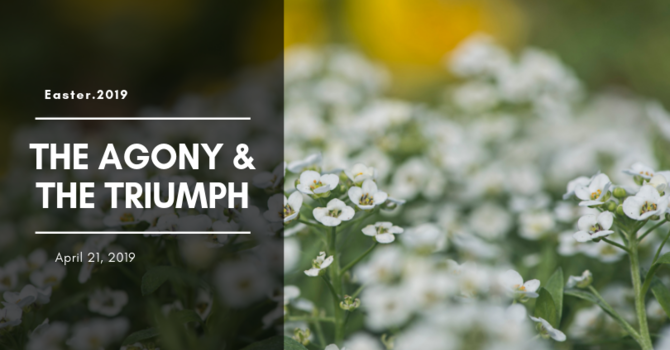 The Agony and Triumph