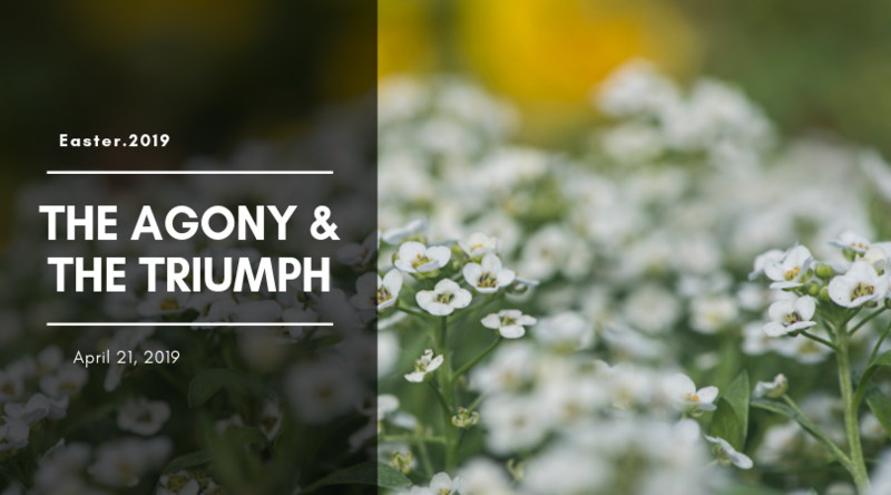 The Agony and Triumph