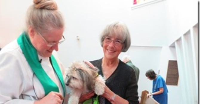 2015 St. Francis Day Service