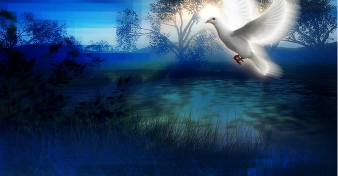 Sunday Bulletin - August 12, 2018 image