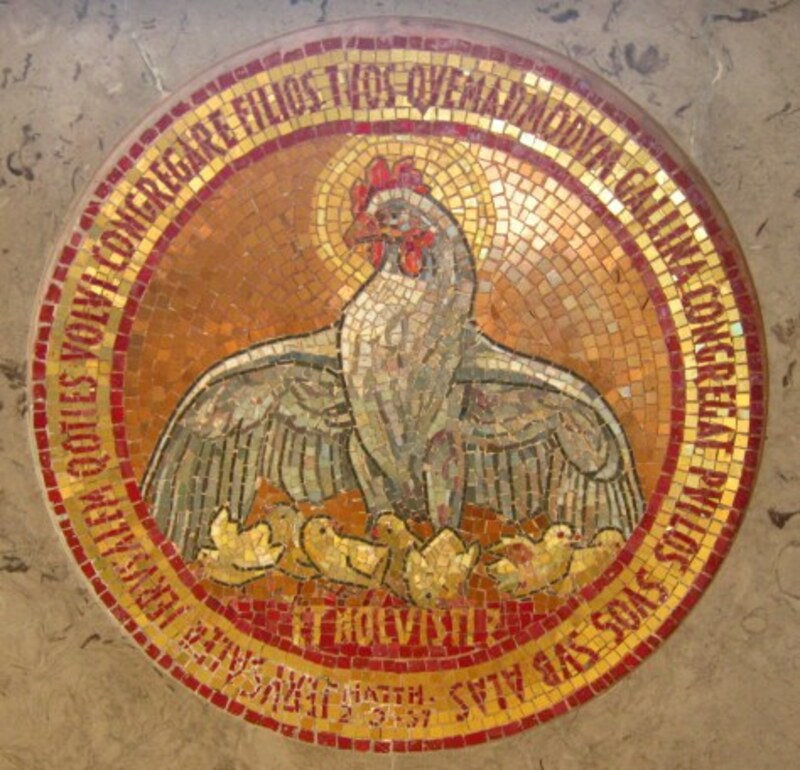 The Shadow of your Wings