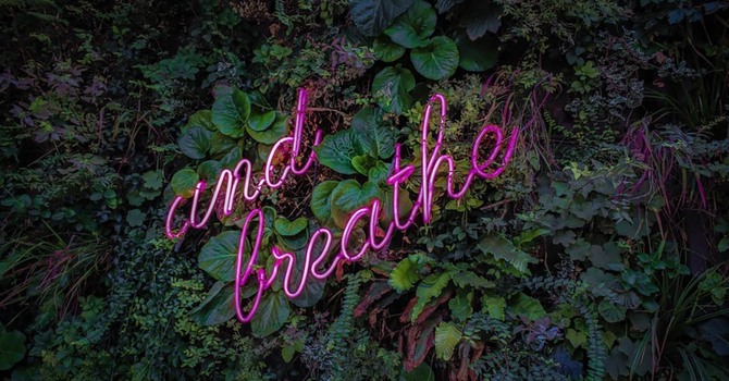 Take a moment to just breath... image