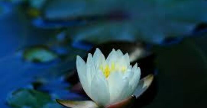 Spiritual Practices Support Spiritual Wellness image