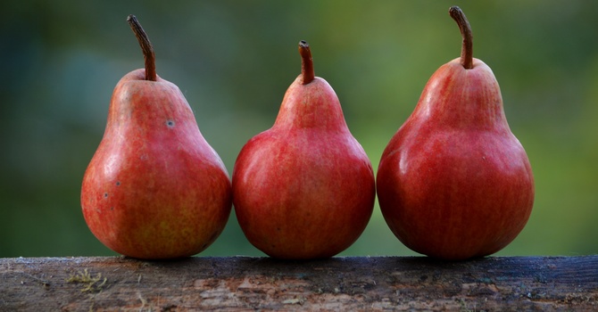 Trying or Trusting? image