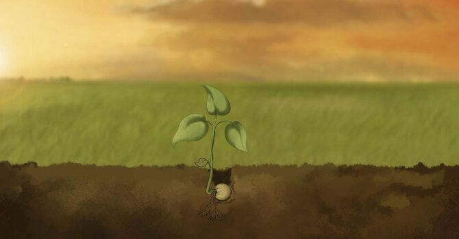 Parable of the Mustard Seed image