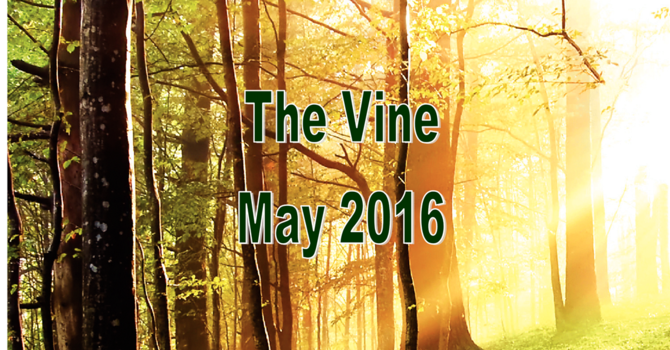 The May Vine  image