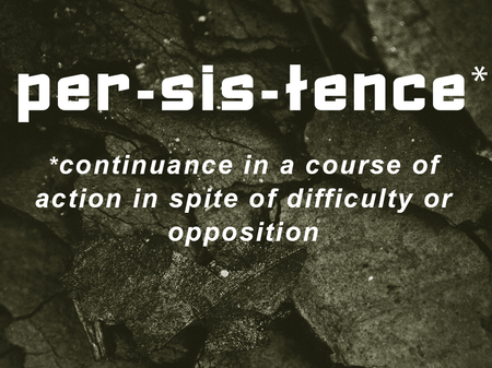 Persistence