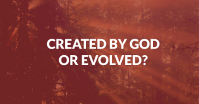 Created by God or Evolved?