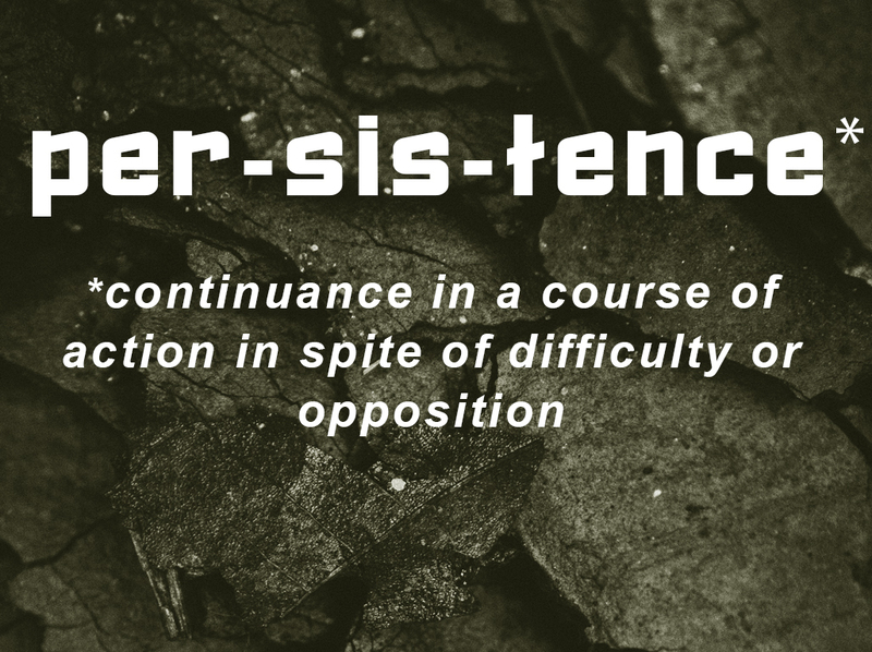 Persistence