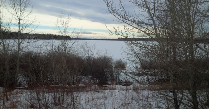 February, 2016 image