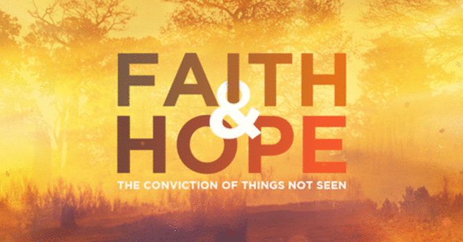 The November 2016 Vine image