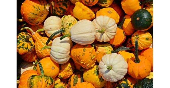 SEPTEMBER NEWS image