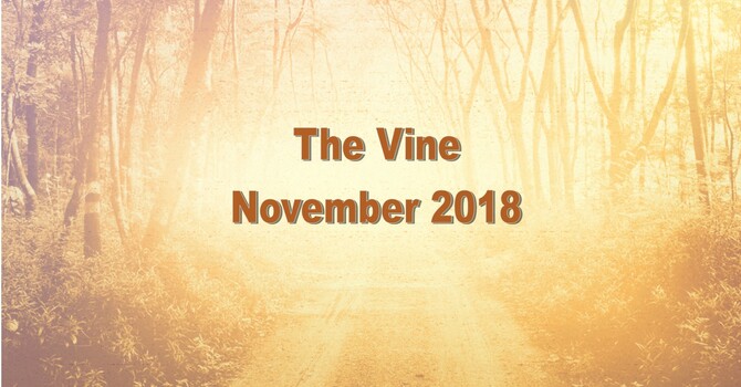 The November Vine image