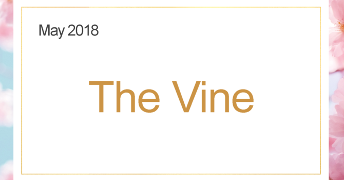 The May Vine image