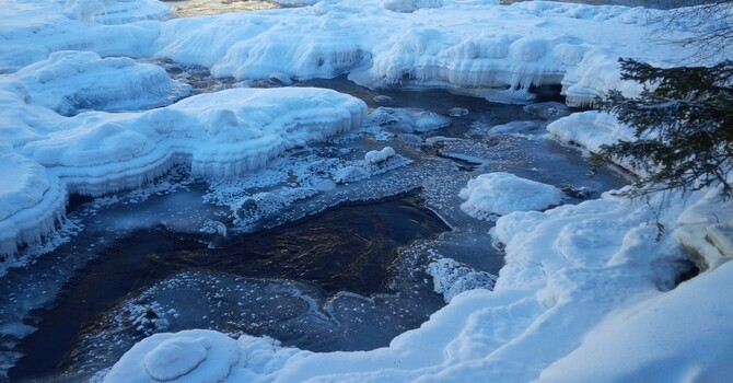 January Newsletter image