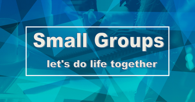 September Vine 2016 image