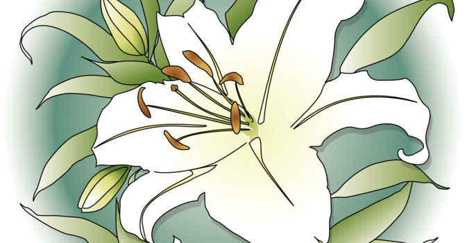 Feb 28th Weekly Bulletin image