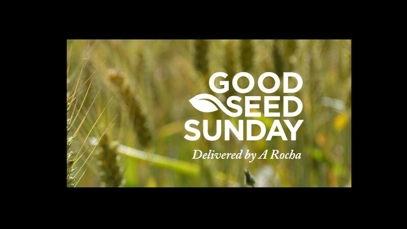 Creation and the Gospel