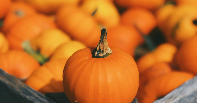 October Sunday Fall Sermon