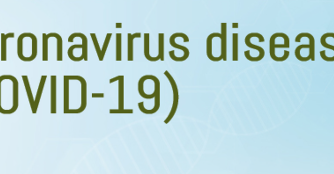 PASTORAL LETTER WITH REGARDS TO COVID 19 image