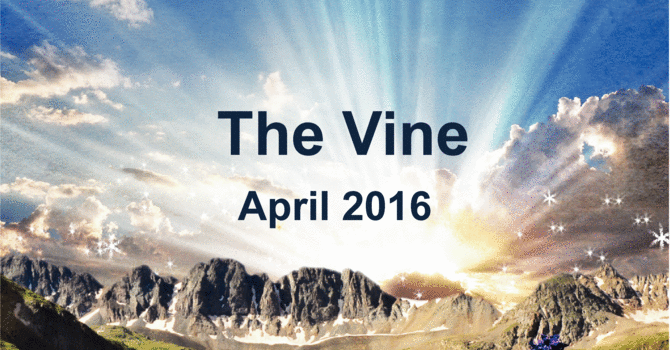 April Vine Newsletter image