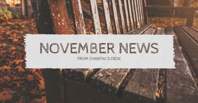 NOVEMBER NEWSLETTER image