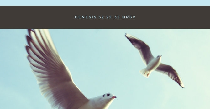 Sunday Bulletin - August 11th 2019 image