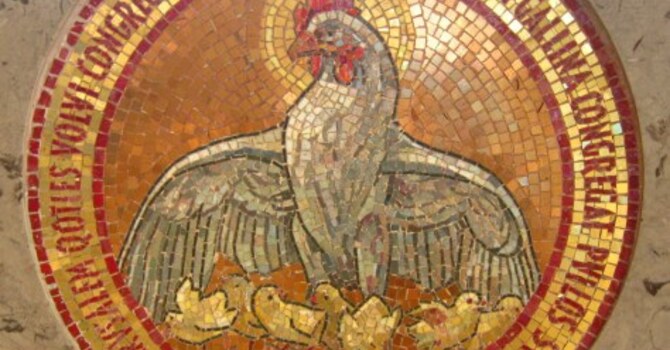 The Shadow of your Wings