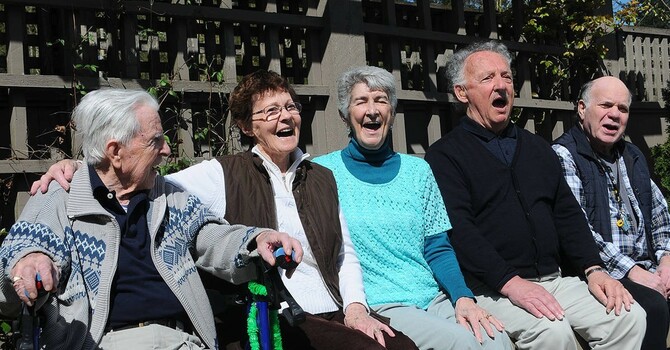 Senior Connector Program