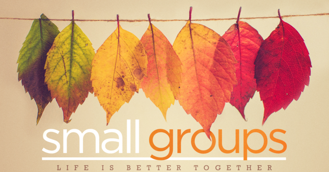 The September Vine image