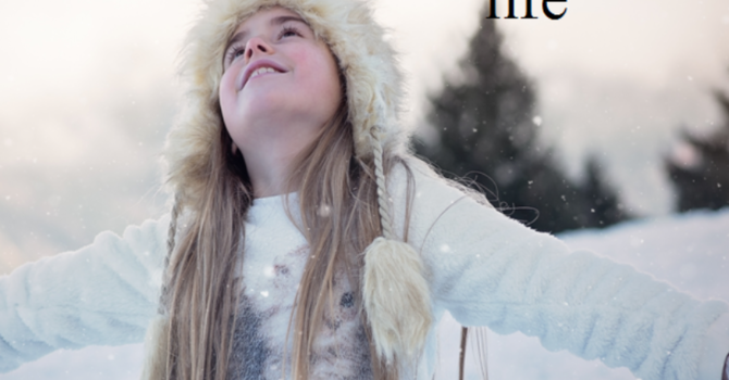 Looking Out with Gratitude