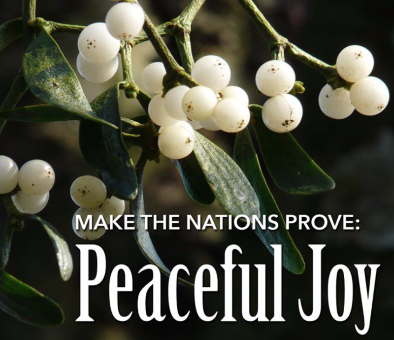 ADVENT IV: Lessons and Carols