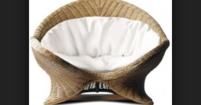 "THE FAST LANE & LETTING GO OF THE CLUTTER AND THE CHAOS"