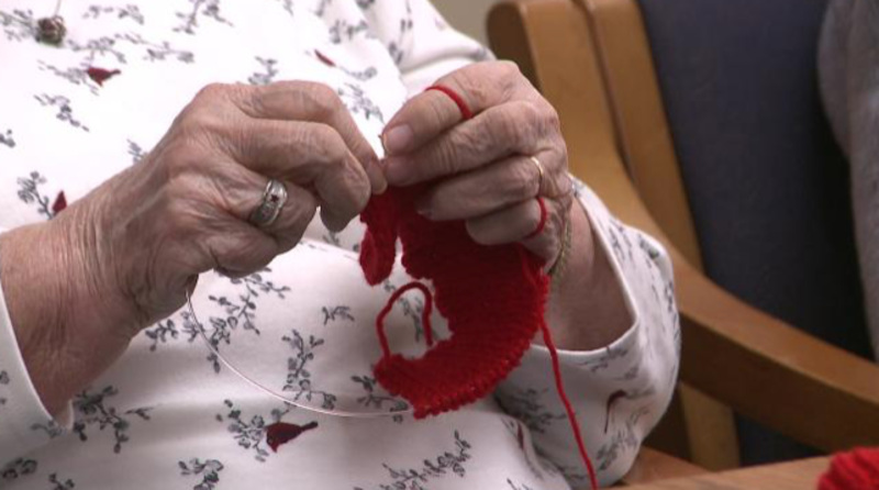 LIVING WITH GOD IN CREATION