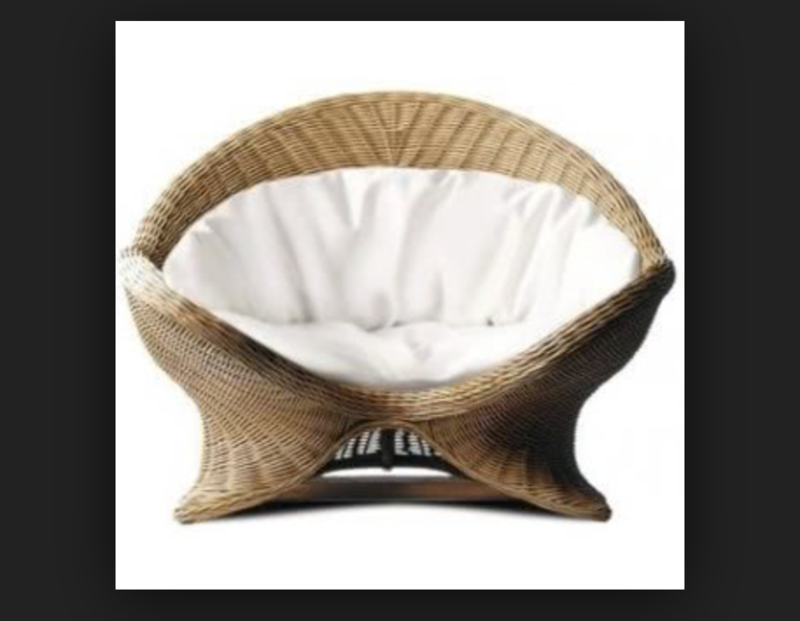 "THE FAST LANE & LETTING GO OF THE CLUTTER AND THE CHAOS"